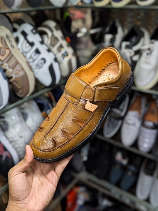 Brown Leather Sacchi Shoes